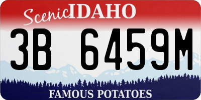 ID license plate 3B6459M