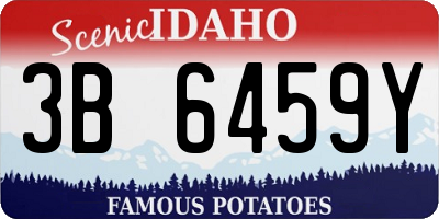 ID license plate 3B6459Y
