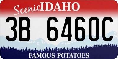ID license plate 3B6460C