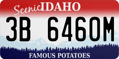 ID license plate 3B6460M