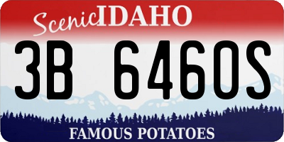 ID license plate 3B6460S