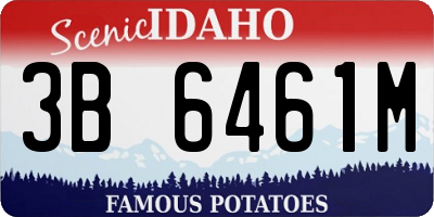 ID license plate 3B6461M