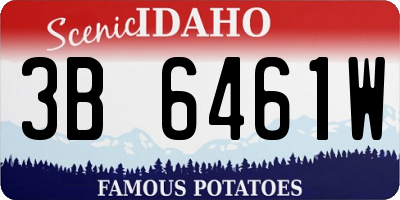 ID license plate 3B6461W