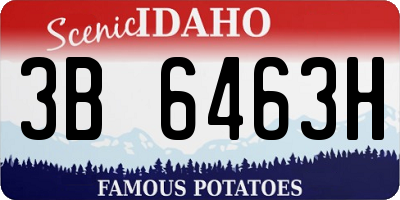 ID license plate 3B6463H