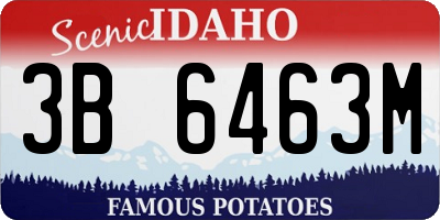 ID license plate 3B6463M