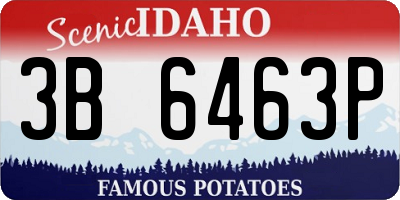 ID license plate 3B6463P