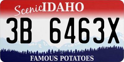 ID license plate 3B6463X