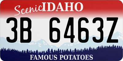 ID license plate 3B6463Z