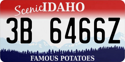 ID license plate 3B6466Z