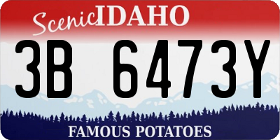 ID license plate 3B6473Y