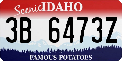 ID license plate 3B6473Z