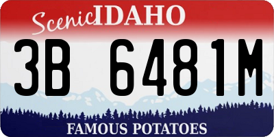 ID license plate 3B6481M