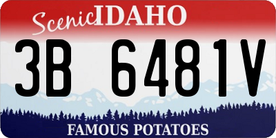 ID license plate 3B6481V