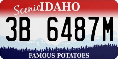 ID license plate 3B6487M