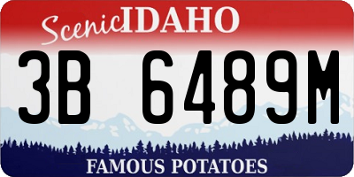 ID license plate 3B6489M