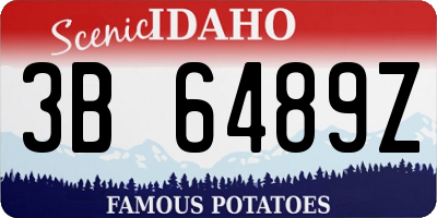 ID license plate 3B6489Z