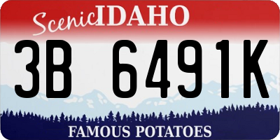 ID license plate 3B6491K
