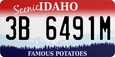 ID license plate 3B6491M