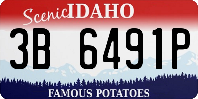 ID license plate 3B6491P