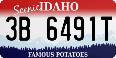 ID license plate 3B6491T