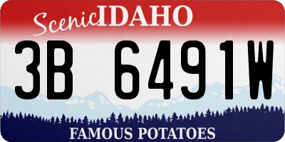 ID license plate 3B6491W