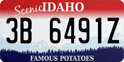 ID license plate 3B6491Z