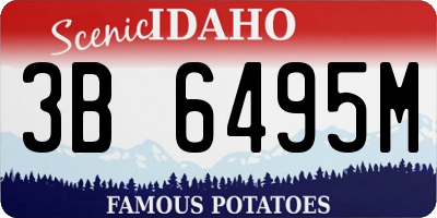 ID license plate 3B6495M
