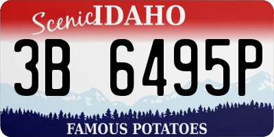 ID license plate 3B6495P