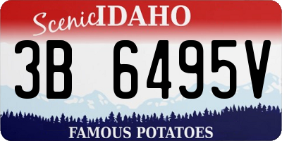 ID license plate 3B6495V