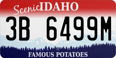 ID license plate 3B6499M