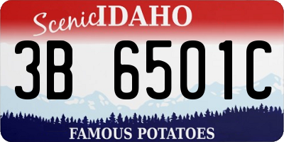 ID license plate 3B6501C