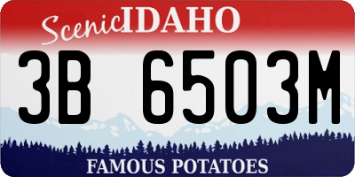 ID license plate 3B6503M