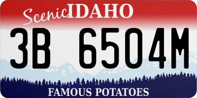 ID license plate 3B6504M