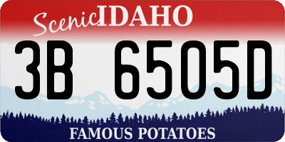 ID license plate 3B6505D