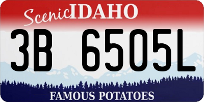 ID license plate 3B6505L