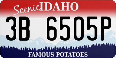 ID license plate 3B6505P