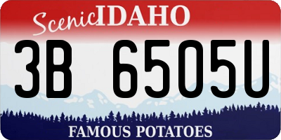 ID license plate 3B6505U