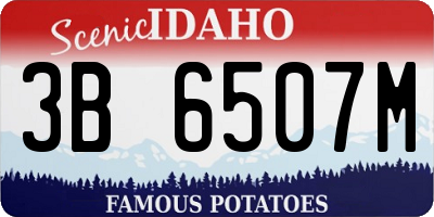 ID license plate 3B6507M