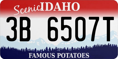 ID license plate 3B6507T