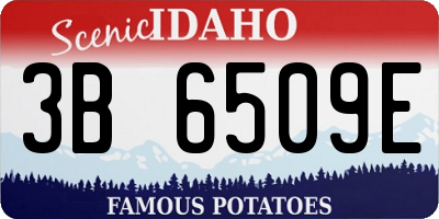 ID license plate 3B6509E