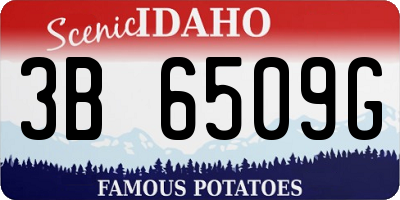ID license plate 3B6509G