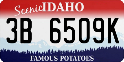 ID license plate 3B6509K