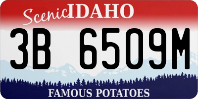 ID license plate 3B6509M