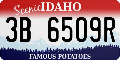 ID license plate 3B6509R