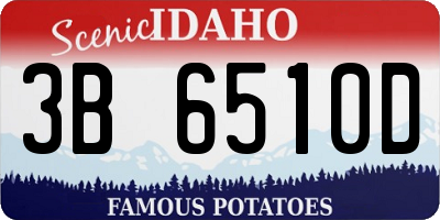 ID license plate 3B6510D