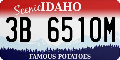 ID license plate 3B6510M