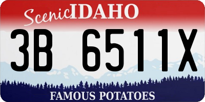 ID license plate 3B6511X