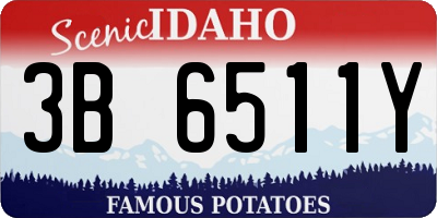 ID license plate 3B6511Y
