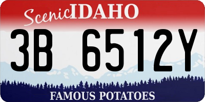 ID license plate 3B6512Y