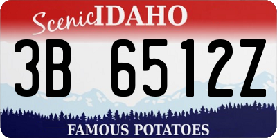 ID license plate 3B6512Z